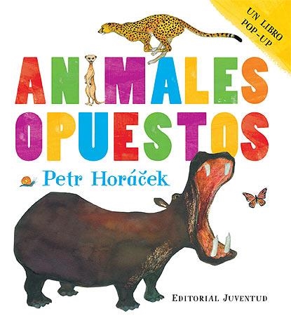 ANIMALES OPUESTOS | 9788426139757 | HORACECK, PETR