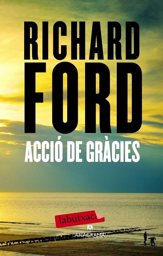 ACCIÓ DE GRÀCIES | 9788499307428 | FORD, RICHAR