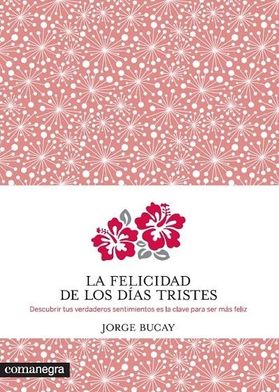 FELICIDAD DE LOS DÍAS TRISTES | 9788415097938 | BUCAY, JORGE