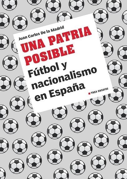 UNA PATRIA POSIBLE | 9788497047463 | DE LA MADRID ÁLVAREZ, JUAN CARLOS