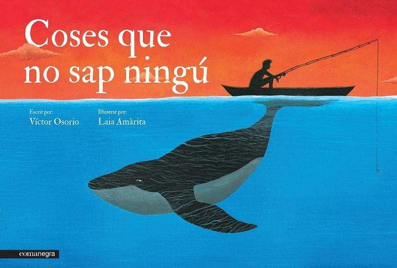 COSES QUE NO SAP NINGÚ | 9788416033096 | AMÀRITA, LAIA