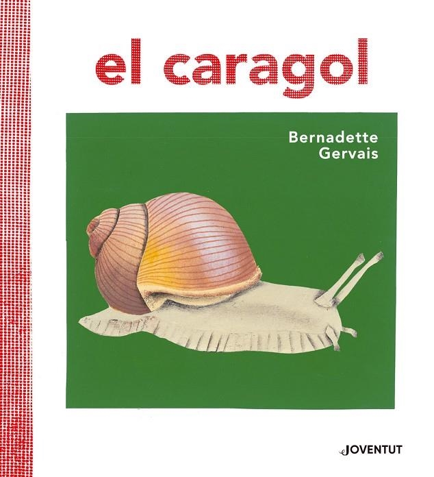 CARAGOL | 9788426145680 | GERVAIS, BERNADETTE/TORNERO BRUGUÉS, SUSANA