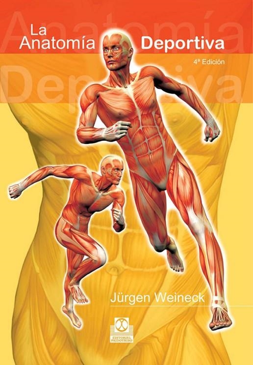 ANATOMIA DEPORTIVA, LA | 9788480192095 | WEINECK, JURGEN