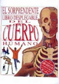 SORPRENDENTE LIBRO DESPLEGABLE DEL CUERPO, EL | 9788427241619 | HAWCOCK DAVID