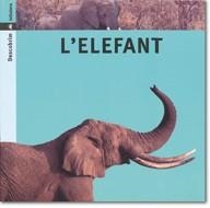 ELEFANT, L' | 9788424602734 | ARANEGA, SUSANNA ; PORTELL, JOAN