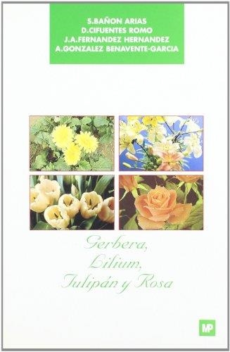 GERBERA, LILIUM, TULIPAN Y ROSA | 9788471144461 | BAÑON