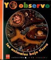 ANIMALES BAJO TIERRA, LOS | 9788434861558 | DELAFOSSE, CLAUDE  ; JEUNESSE, GALLIMARD