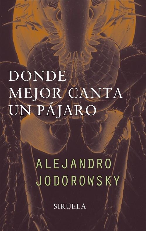 DONDE MEJOR CANTA UN PAJARO | 9788478445936 | JODORWSKY, ALEJANDRO