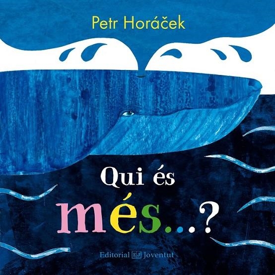 QUI ÉS MÉS? | 9788426145208 | HORACEK, PETR