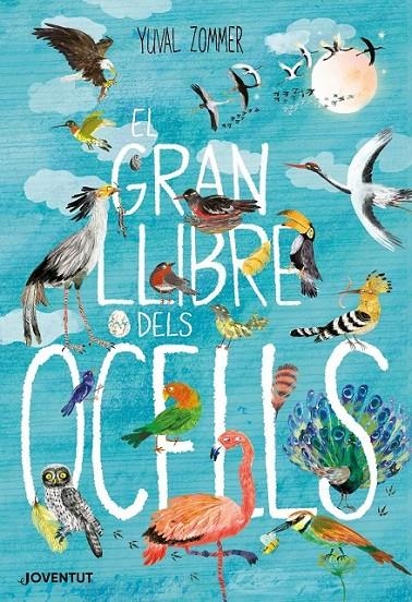 GRAN LLIBRE DELS OCELLS | 9788426145840 | ZOMMER, YUVAL