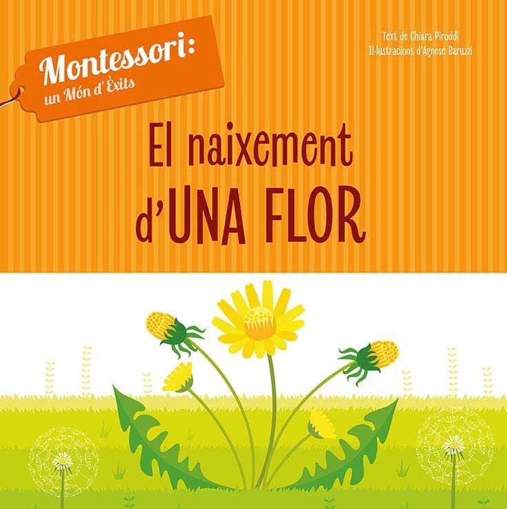 NAIXEMENT D'UNA FLOR (VVKIDS) | 9788468261737 | CH. PIRODDI