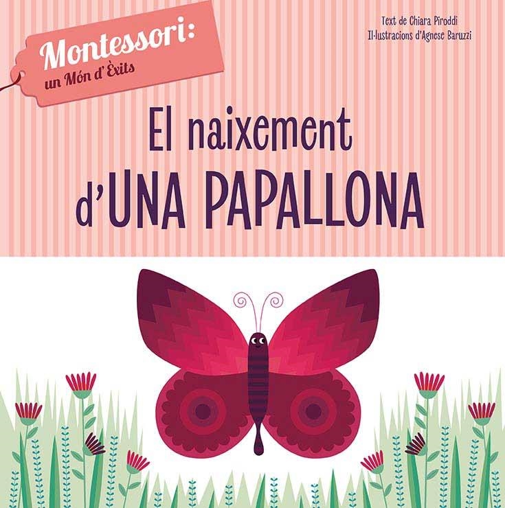 NAIXEMENT D'UNA PAPALLONA (VVKIDS) | 9788468261751 | CH. PIRODDI