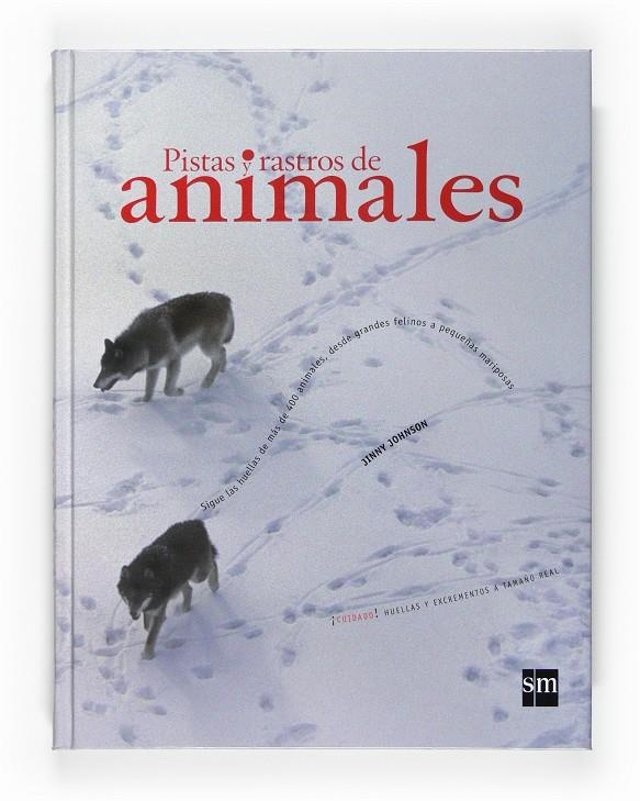 PISTAS Y RASTROS ANIMALES | 9788467531589 | JOHNSON, JINNY