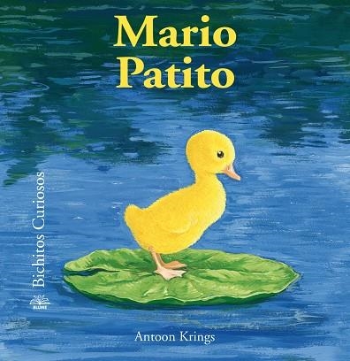 MARIO PATITO | 9788498018530 | KRINGS, ANTOON