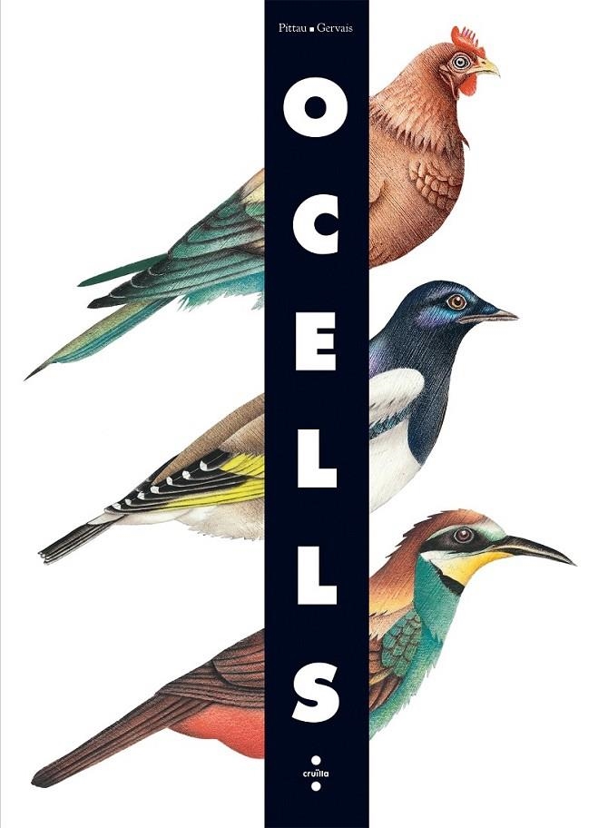 OCELLS (DESPLEGABLE) | 9788466126243 | GERVAIS, PITTAU