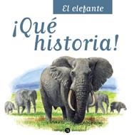 ELEFANTE, EL | 9788424629328 | ARANEGA, SUSANA