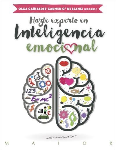 HAZTE EXPERTO EN INTELIGENCIA EMOCIONAL | 9788433027849 | VV.AA