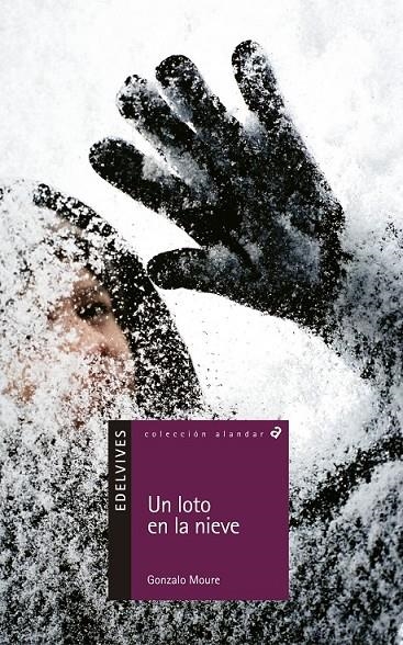 UN LOTO EN LA NIEVE | 9788426352170 | MOURE, GONZALO