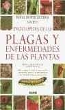 PLAGAS Y ENFERMEDADES DE LAS PLANTAS, ENCICLOPEDIA DE | 9788480764322 | GREENWOOD, PIPPA