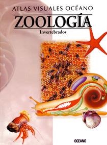 ZOOLOGIA INVERTEBRADOS. GUIAS VISUALES | 9788449412882 | GISPERT, CARLOS