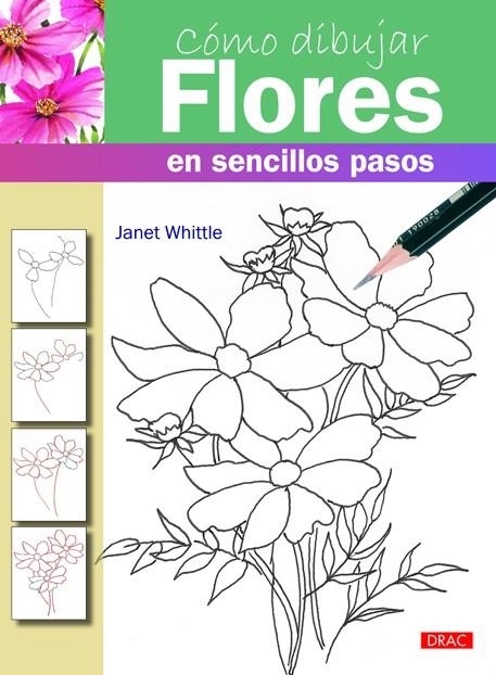 CÓMO DIBUJAR FLORES EN SENCILLO PASOS | 9788498743173 | WHITTLE, JANET