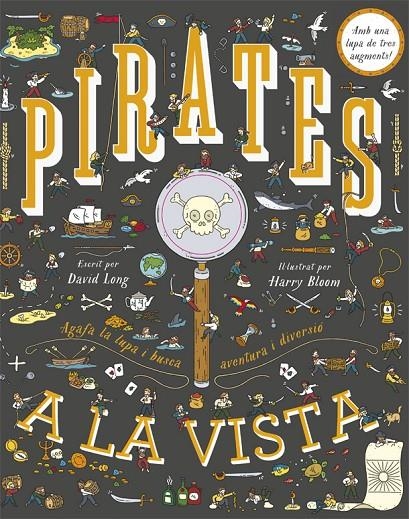 PIRATES A LA VISTA | 9788424662172 | LONG, DAVID