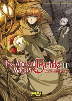 THE ANCIENT MAGUS BRIDE 14 | 9788467948417 | KORE YAMAZAKI