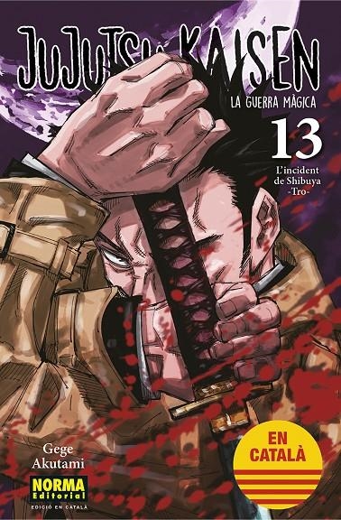 JUJUTSU KAISEN 13 CATALA | 9788467957679 | AKUTAMI, GEGE