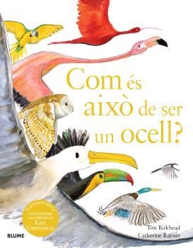 COM ÉS AIXÒ DE SER UN OCELL? | 9788410048102 | BIRKHEAD, TIM/RAYNER, CATHERINE