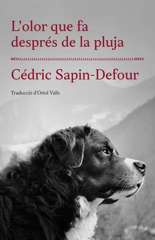 OLOR QUE FA DESPRÉS DE LA PLUJA | 9788417353568 | CÉDRIC SAPIN-DEFOUR