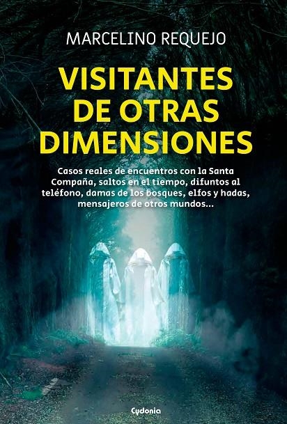 VISITANTES DE OTRAS DIMENSIONES | 9788412772821 | REQUEJO ALONSO, MARCELINO