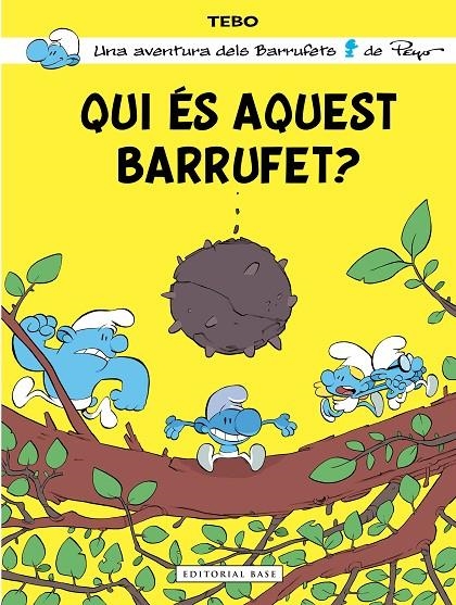 QUI ÉS AQUEST BARRUFET? | 9788410131156 | TEBO