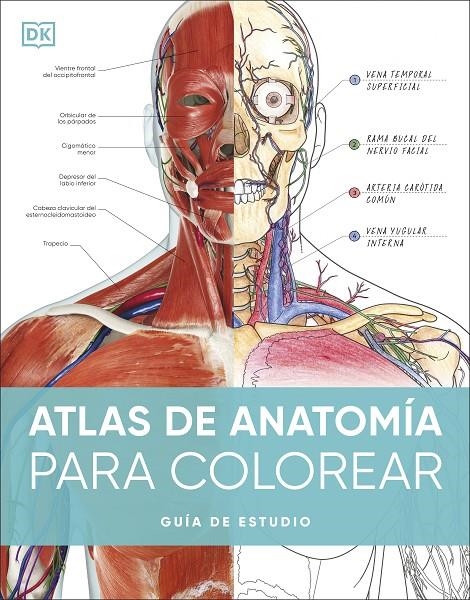 ATLAS DE ANATOMÍA PARA COLOREAR | 9780241703090 | DK