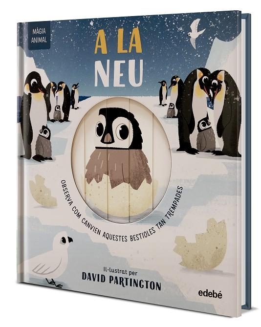 MÀGIA ANIMAL: A LA NEU | 9788468372150 | CLARK, NEIL/STONE, HARRIET