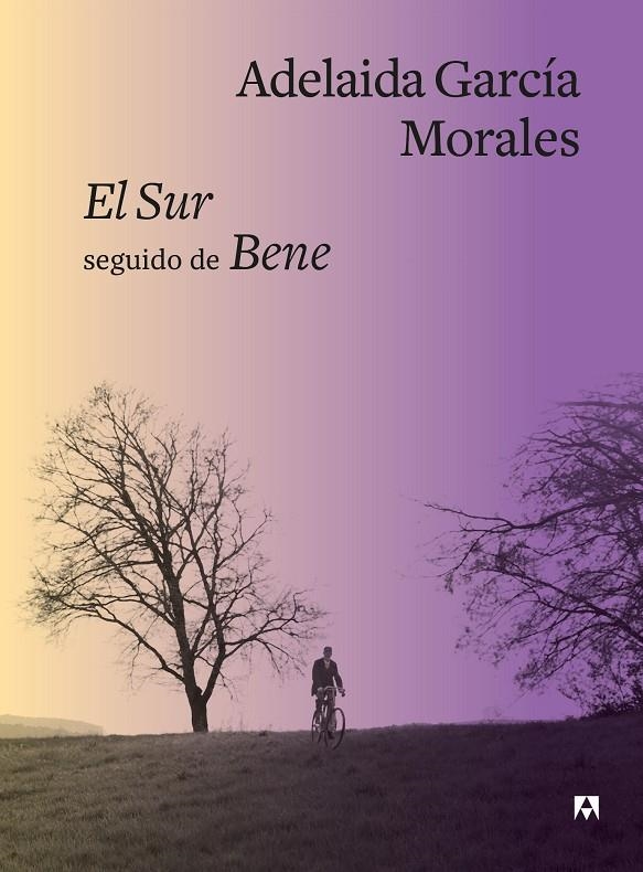 SUR SEGUIDO DE BENE | 9788433928566 | GARCÍA MORALES, ADELAIDA