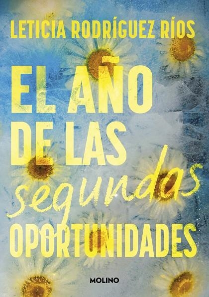 AÑO DE LAS SEGUNDAS OPORTUNIDADES | 9788427242807 | RODRÍGUEZ RÍOS, LETICIA