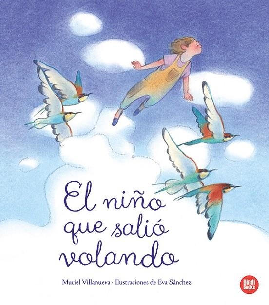 NIÑO QUE SALIÓ VOLANDO | 9788410447011 | VILLANUEVA PERARNAU, MURIEL