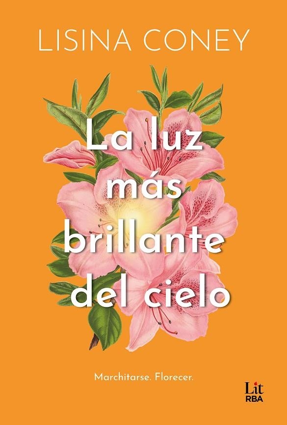 LUZ MÁS BRILLANTE DEL CIELO | 9788411329323 | CONEY, LISINA