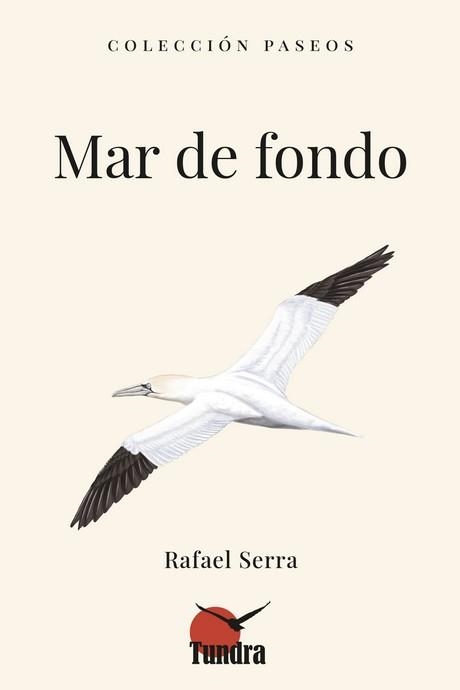 MAR DE FONDO | 9788419624857 | SERRA, RAFAEL